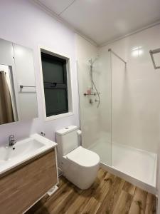 平圭The Zanzibar Beach House-South的浴室配有卫生间、盥洗盆和淋浴。