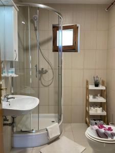 KaranacKuća za odmor Saturnus的带淋浴、盥洗盆和卫生间的浴室