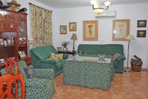 奇克拉纳－德拉弗龙特拉Chalet Carlos El Campito的客厅配有绿色沙发和桌子