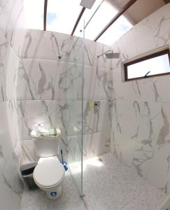 昆卡Estancia el Capulí的一间带卫生间和玻璃淋浴间的浴室
