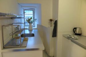 布拉格Hradčany apartment with green energy的厨房柜台设有水槽和花瓶