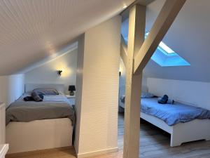 科尔马Le trésor de Khalis的阁楼卧室设有两张床和天窗