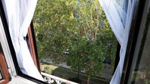 米兰Casa Bonnie, Nuovo accogliente appartamento nel centro di Milano的享有树景的开放式窗户