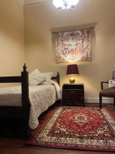 圣地亚哥Casa dos Leones的一间卧室配有床、地毯和灯