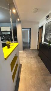 布加勒斯特ABarbici Apartments的一间厨房,里面有一个黄色的柜台