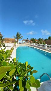 拉巴拉德纳圣米格尔巴拉博尼塔旅馆的一个种有棕榈树的大型蓝色游泳池