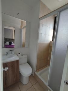 圣地亚哥Costanera Bed & Breakfast的浴室配有卫生间、盥洗盆和淋浴。