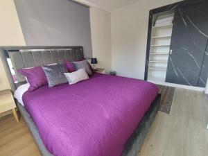 圣地亚哥Costanera Bed & Breakfast的一间卧室配有一张大床和紫色毯子