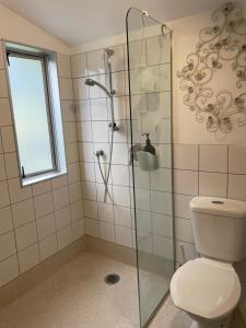 凯里凯里Kaingarua Retreat的一间带卫生间和玻璃淋浴间的浴室