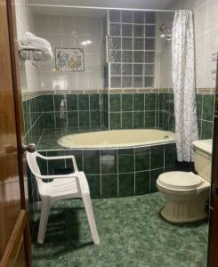 利马FLAT AMOBLADO EN PUEBLO LIBRE - LIMA - PERÚ的绿色瓷砖浴室设有浴缸和卫生间