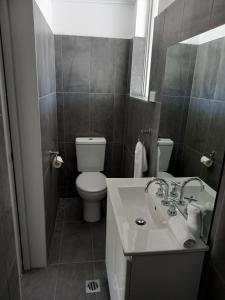 卧龙岗Solomon Inn Motel Figtree的浴室配有白色卫生间和盥洗盆。
