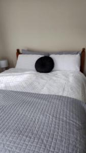 奥克兰Bed & Breakfast @ Unsworth Heights Albany的躺在床上的一只黑猫