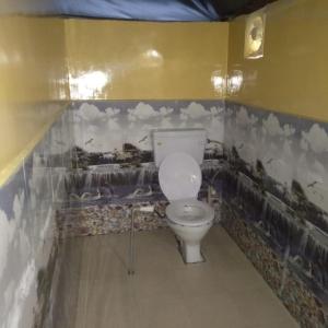 奈尼塔尔Valley view camps &cottages的浴室设有卫生间,墙上挂有绘画作品