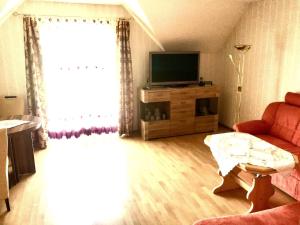 新策勒Room in Apartment - Haus Im Grunen House in the green的带沙发和电视的客厅