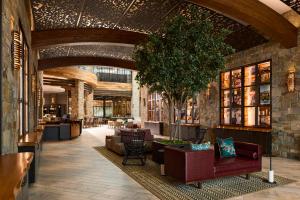 纳帕纳帕弓箭酒店的大厅,在大楼里长着长沙发和一棵树