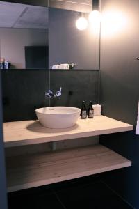 图西斯Story Thusis的浴室的柜台设有水槽和镜子