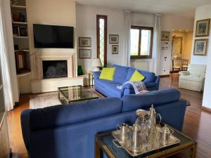 佛罗伦萨Casa Ila的客厅设有蓝色的沙发和壁炉