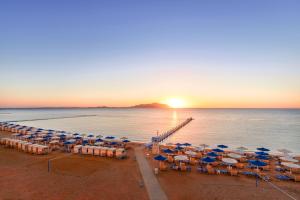 沙姆沙伊赫Pickalbatros Palace Sharm - "Aqua Park"的海滩上的一把遮阳伞和椅子