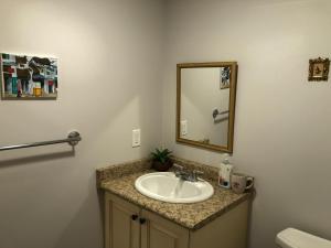 多伦多Premium home with Garden view, private parking的一间带水槽和镜子的浴室