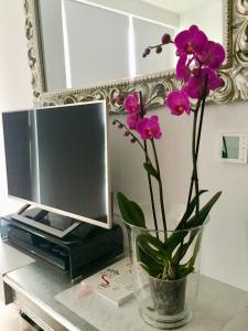 巴拉通雷勒Lelle Marine Resort Voila Apartman的花瓶,花朵紫色,桌子上,有电视