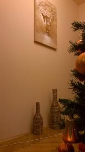 克卢日-纳波卡Camera tip economic Mozart的墙上的地板上坐着三个花瓶