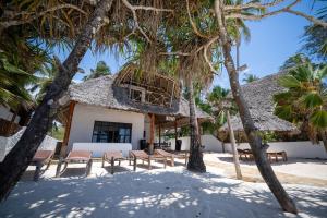 吉汶瓦Beachfront Villa Hideaway ZanzibarHouses的海滩上的房子,配有椅子和棕榈树
