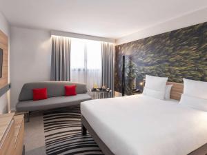 布鲁瓦布卢瓦市中心卢瓦尔河谷诺富特酒店的配有一张床和一把椅子的酒店客房