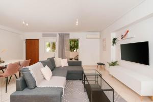 雅典Phaedrus Living: Cozy Flat Koukaki的带沙发和平面电视的客厅