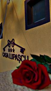 瓦特拉多尔内Casa Lupascu的墙上的标志,上面有玫瑰花