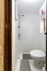 森格莱阿Traditional Maltese Townhouse - Close to Sea的一间带卫生间和淋浴的浴室