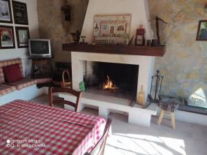 阿韦扎诺casale fucino monolocale的客厅设有壁炉、桌子和沙发