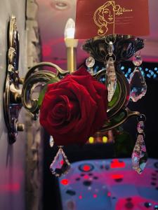 Sin-le-NobleO Venus Spa的红玫瑰挂在吊灯上