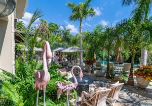 阿德耶Royal River, Luxury Hotel - Adults Only的花园里一群粉红色的火烈鸟