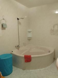 阿尔米利亚Apartamento Alejandra的浴室内设有带红色毛巾的浴缸