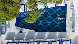 卡普里Hotel Scalinatella的享有带鱼的游泳池的顶部景致