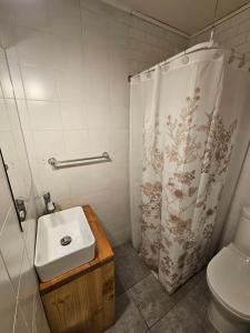巴拉斯港Casa Ellies Hotel Boutique的一间带水槽和淋浴帘的浴室