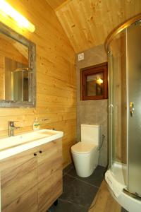 新卡尔奇马Eko-domki w Krynica Morska-Piaski的浴室配有卫生间、盥洗盆和淋浴。