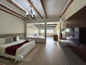 佩尼多佩内多圣达菲旅馆的一间带大床和电视的卧室
