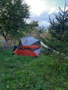 阿尔巴尤利亚Camping place的坐在草地上的红白雨伞