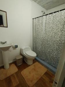 博卡斯德尔托罗Hotel Tierra Verde的带淋浴、卫生间和盥洗盆的浴室