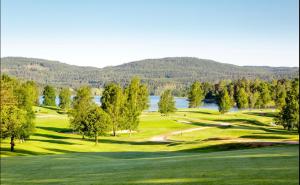 奥斯陆Holmenkollen Forest House free parking的一座以湖泊和山脉为背景的高尔夫球场