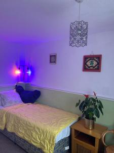 罗金厄姆LN host的紫色的房间,配有一张床和一张植物桌子