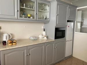 德拉姆尚博Canice Mooney Self Catering Holiday Home的厨房配有灰色橱柜和白色冰箱
