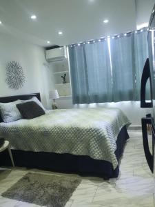 圣胡安Sea breeze vacation lll en Condominio Verde mar的一间卧室设有一张床和一个窗口
