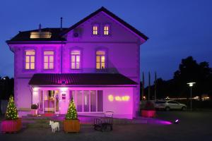 汉诺威威尔别墅酒店的前面有一只狗的紫色房子