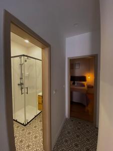 锡尼Apartman "Borićevac"的带淋浴的浴室和配有床的房间