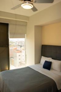 墨西哥城Puerta Alameda Suites México的一间卧室设有一张大床和大窗户