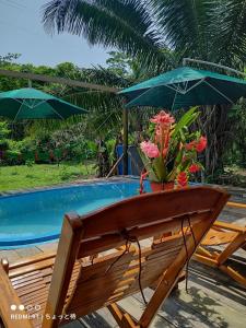马尔多纳多港CHOMI HOUSE TAMBOPATA的游泳池旁的长凳,长满鲜花,遮阳伞