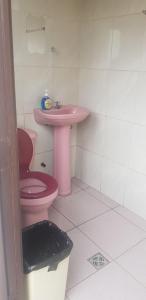 苏克雷Expresso Hostel的一间带粉红色卫生间和盥洗盆的浴室