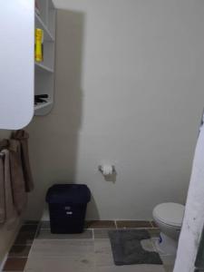 苏弗里耶尔The Ultimate Escape的浴室设有卫生间和蓝色垃圾桶。